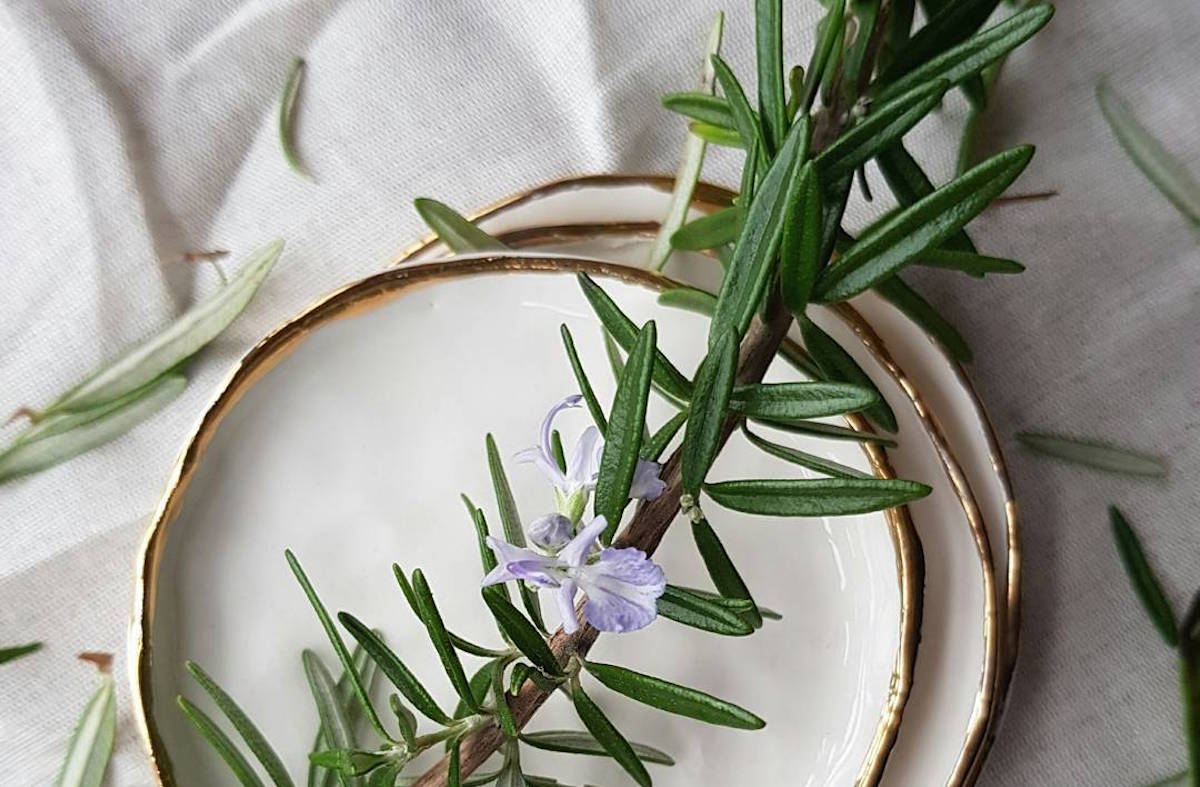 Rosemary SquareRoom Room Fragrance Guide