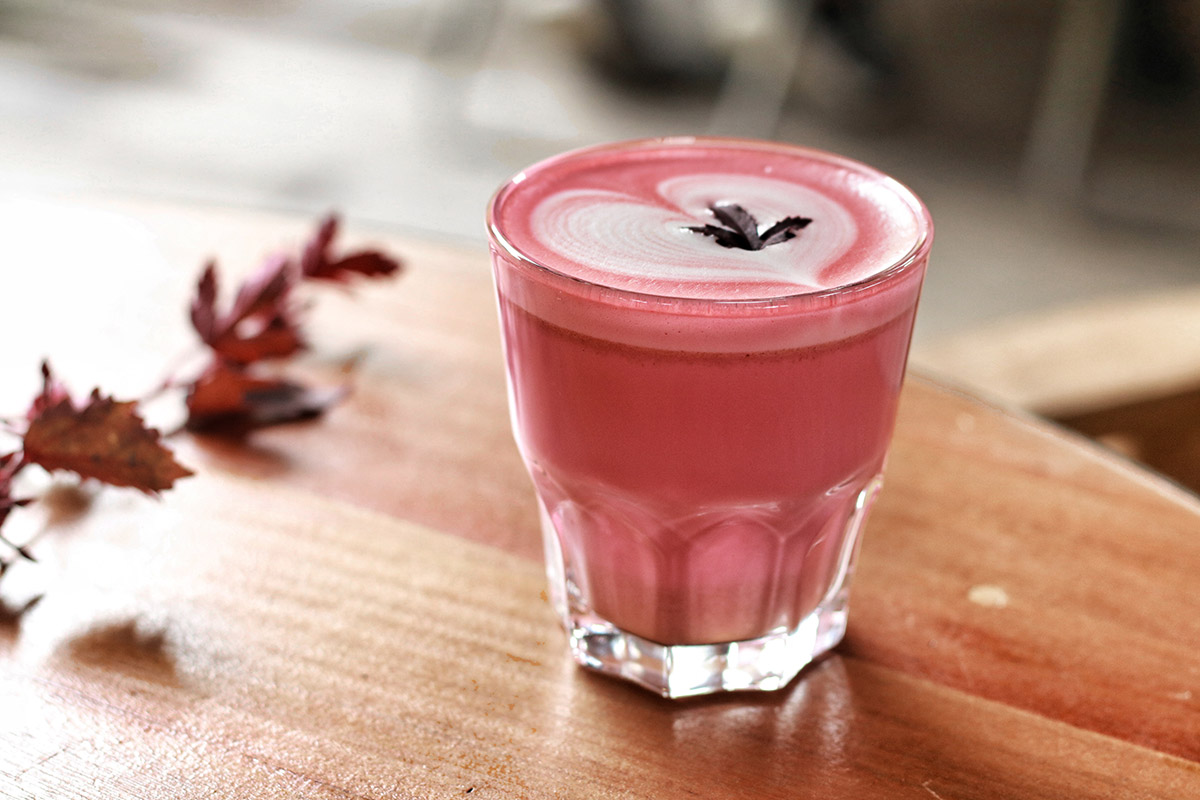 SquareRooms-TBB-Safari-Exclusive---Beetroot-Latte