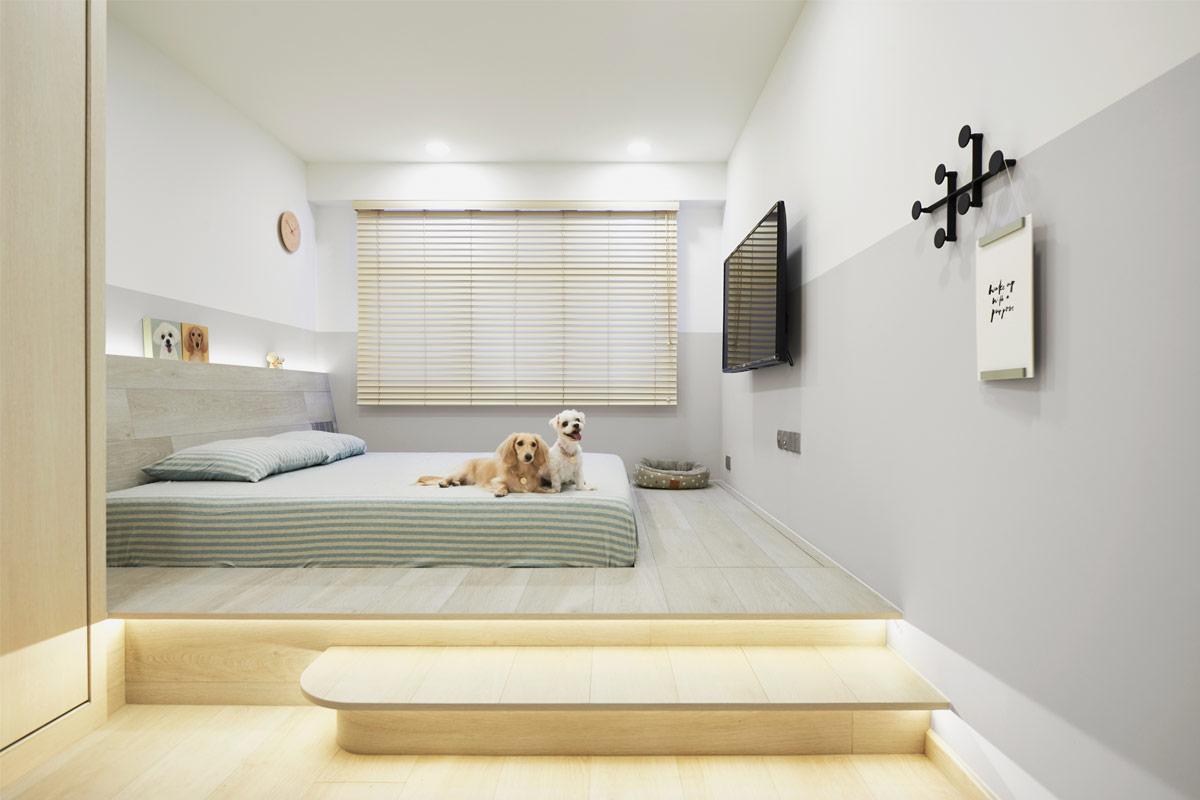squarerooms-Studio-FortyFour-bedroom-dogs-puppies-on-mattress