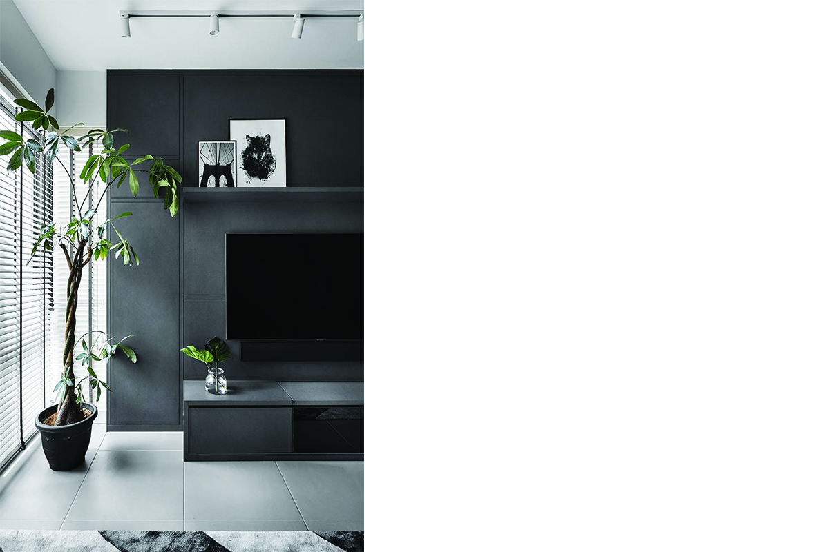 squarerooms-plants-purify-air-living-room-black-dark-stone