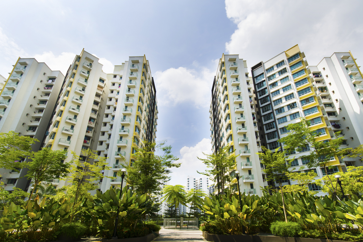 squarerooms-hdb-flats-singapore-low-angle-view-plants-buildings-housing