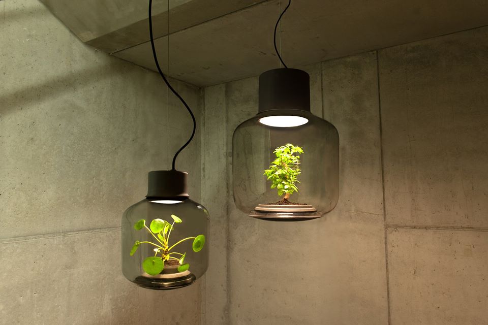 squarerooms-nui-studio-mygdal-plant-light-grow-no-sunlight-without-water