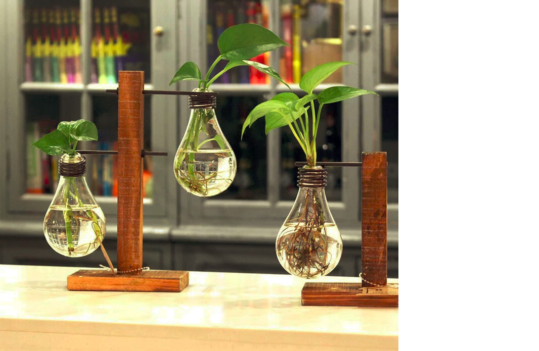 squarerooms-light-bulb-planters-plants-indoor-garden-wood-hanging-etsy-thehyggefox