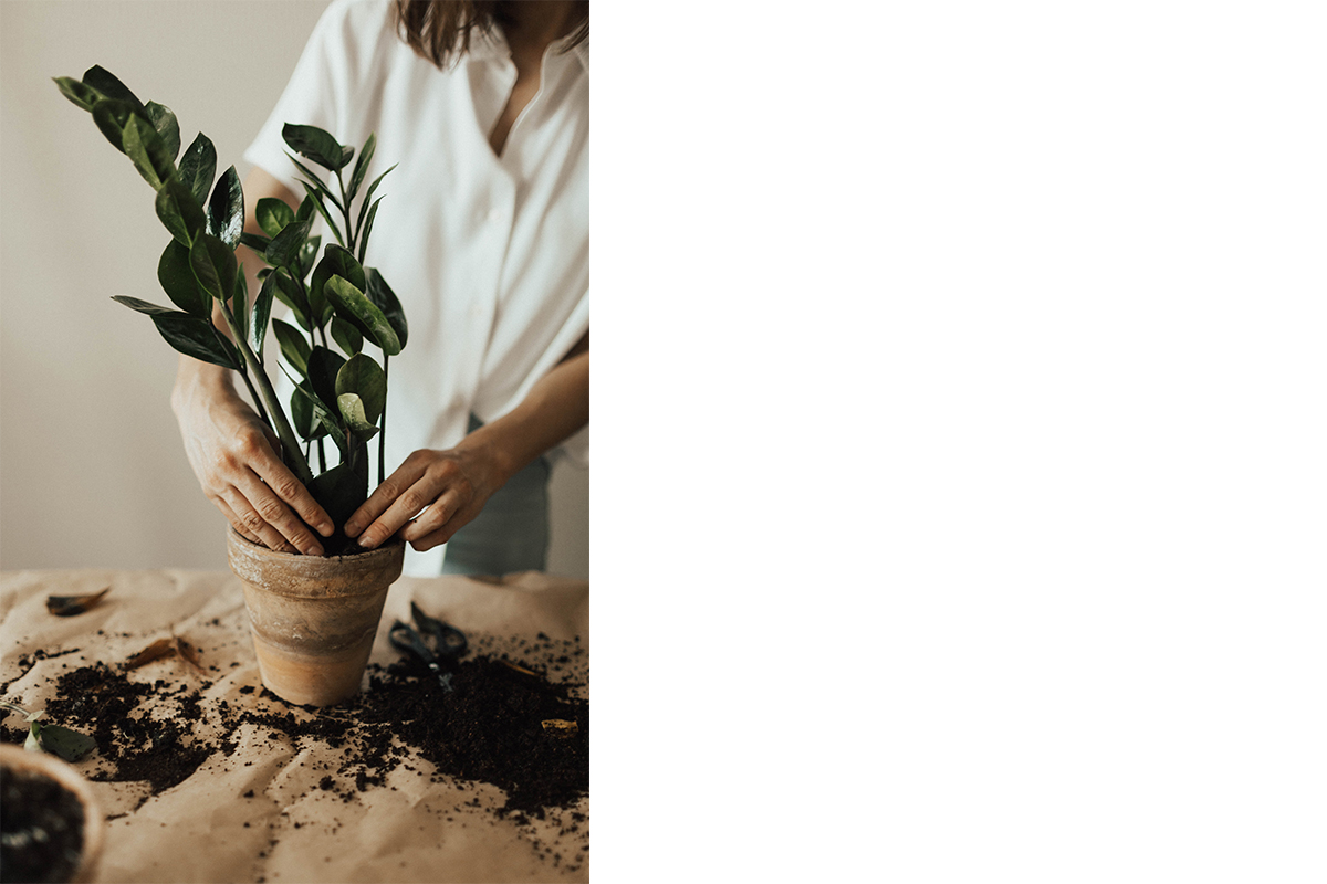 squarerooms-plant-pot-indoor-gardening-hands-aesthetic-vintage-hispter