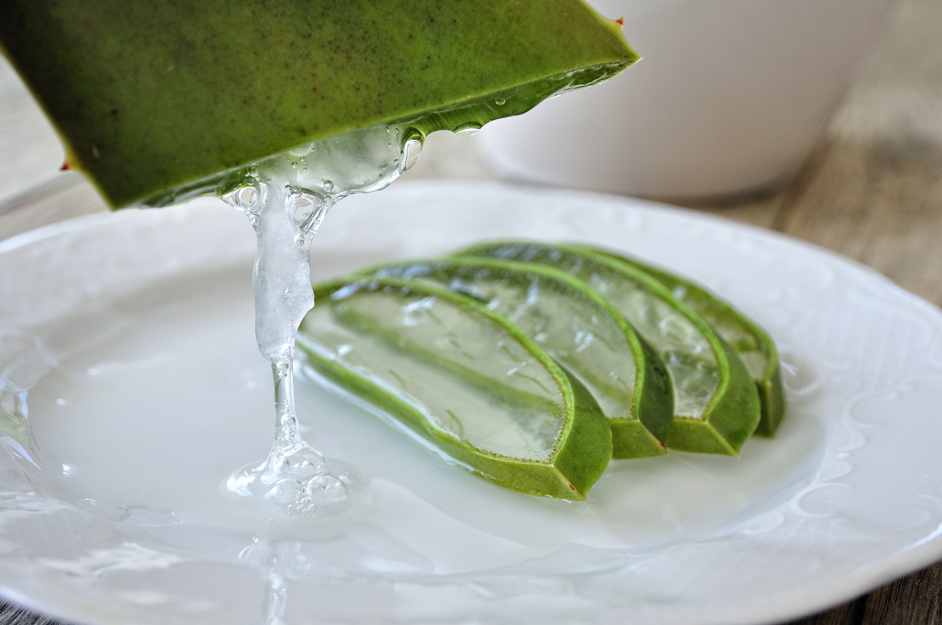 squarerooms-aloe-vera-plant-fresh-gel-squeeze-plate