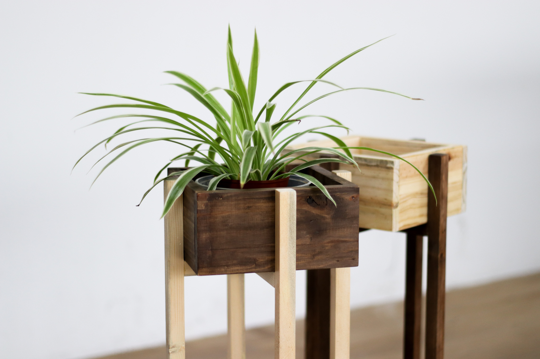 squarerooms triple eyelid studio sustainable recycled wood furniture plant pot