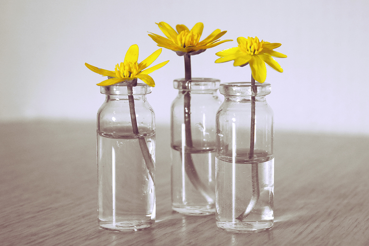 squarerooms glass jar home decor flower vase