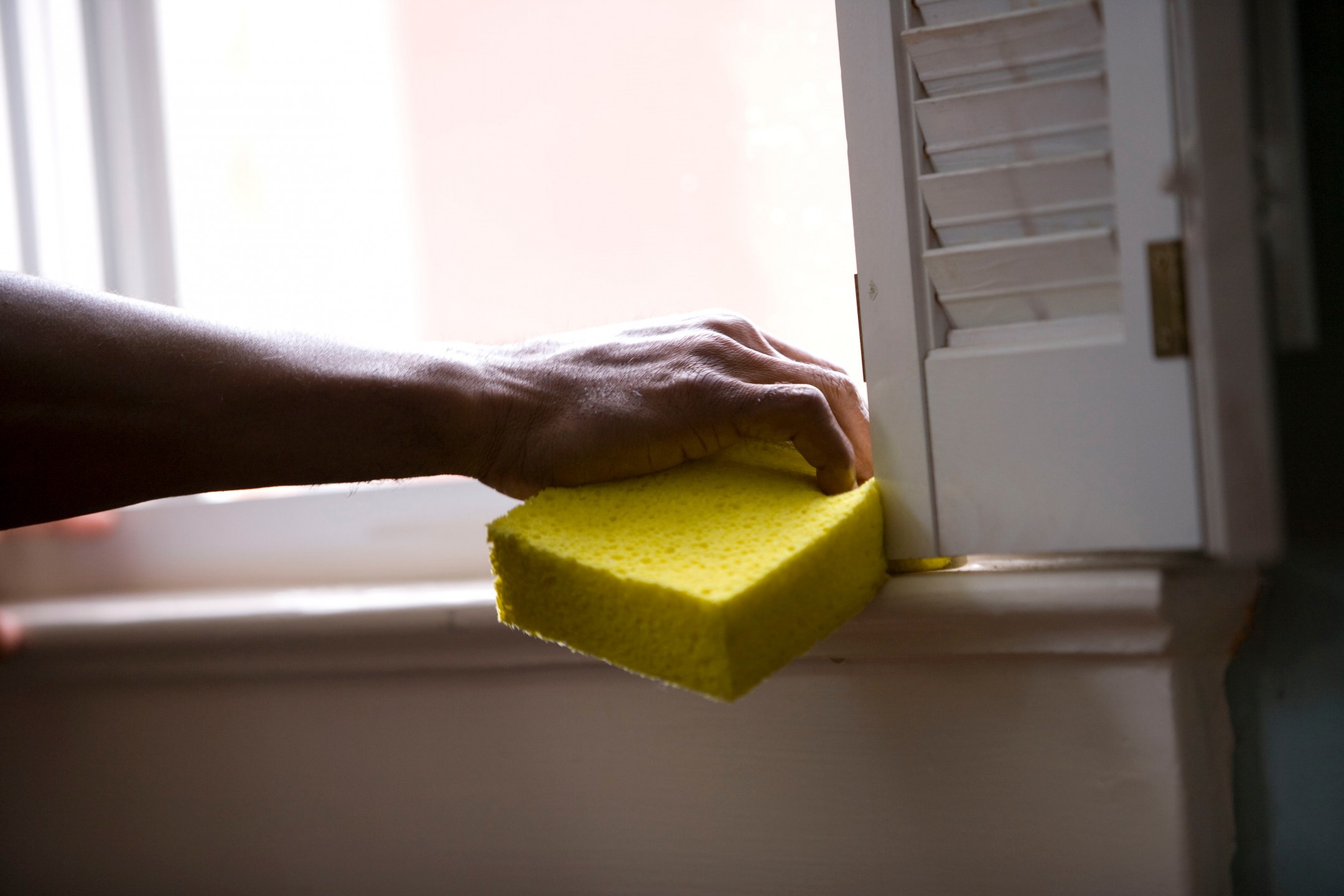 squarerooms cdc sponge arm hand cleaning window