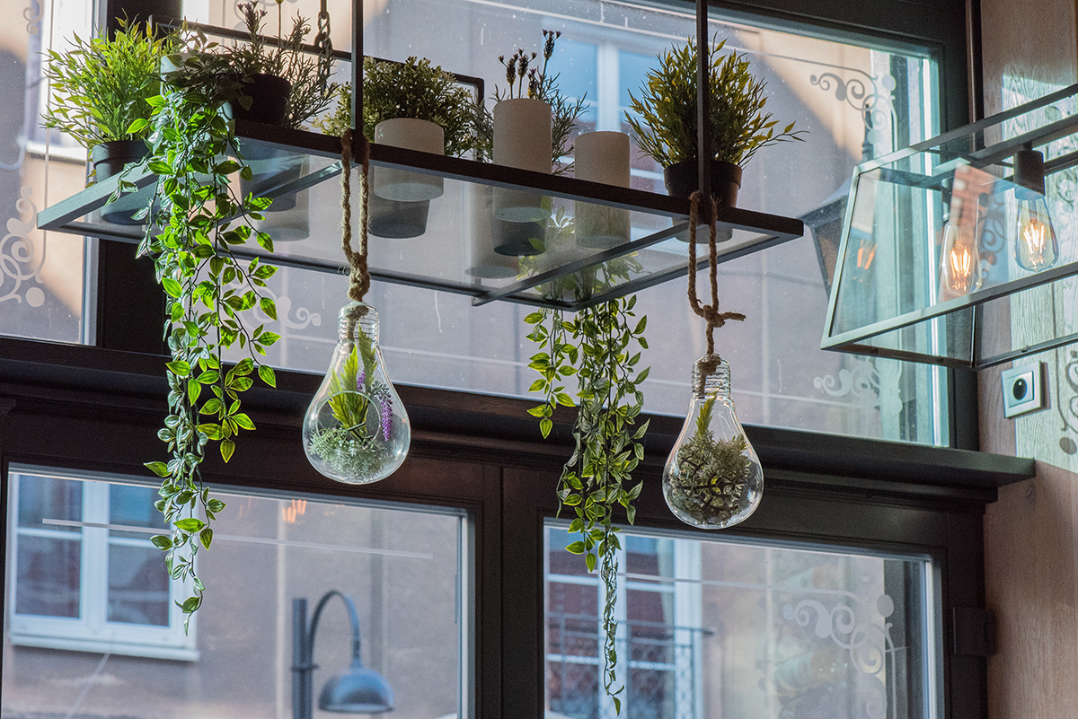 squarerooms Eduardo Casajus unsplash plants indoor garden hanging ceiling rack green