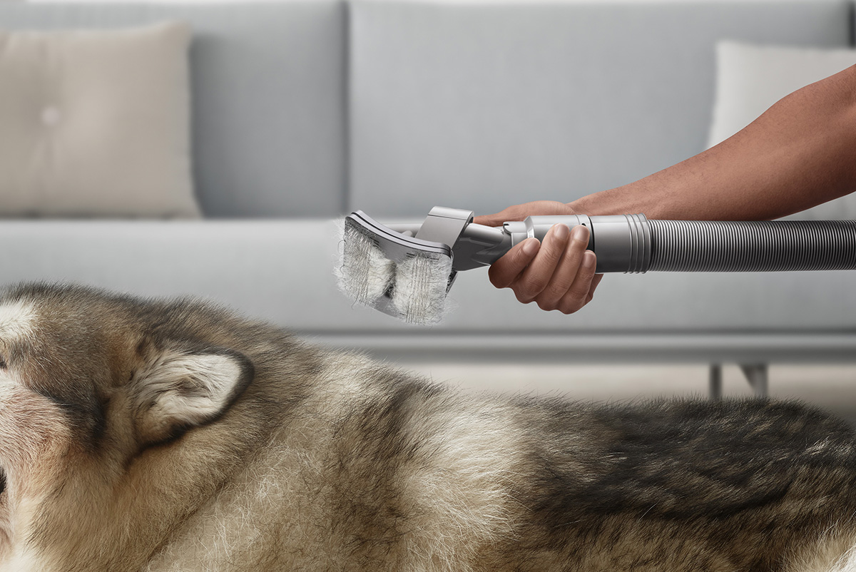 squarerooms dyson pet groom tool vacuum attachment accessory