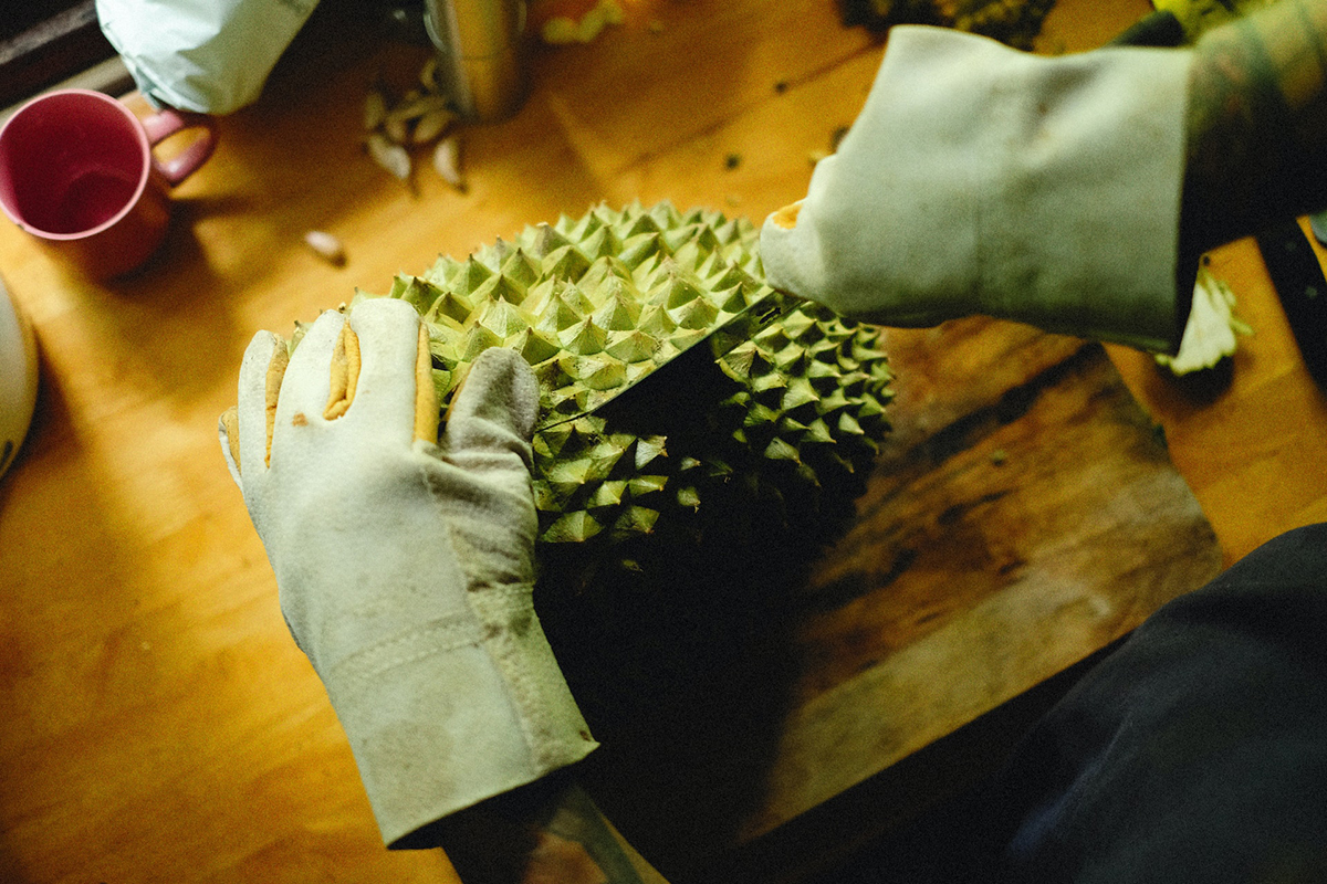 cutting durian fruit on kitchen counter with gloves